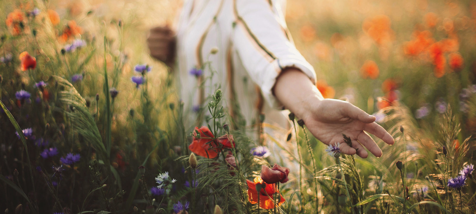 Behavioural Money Coaching